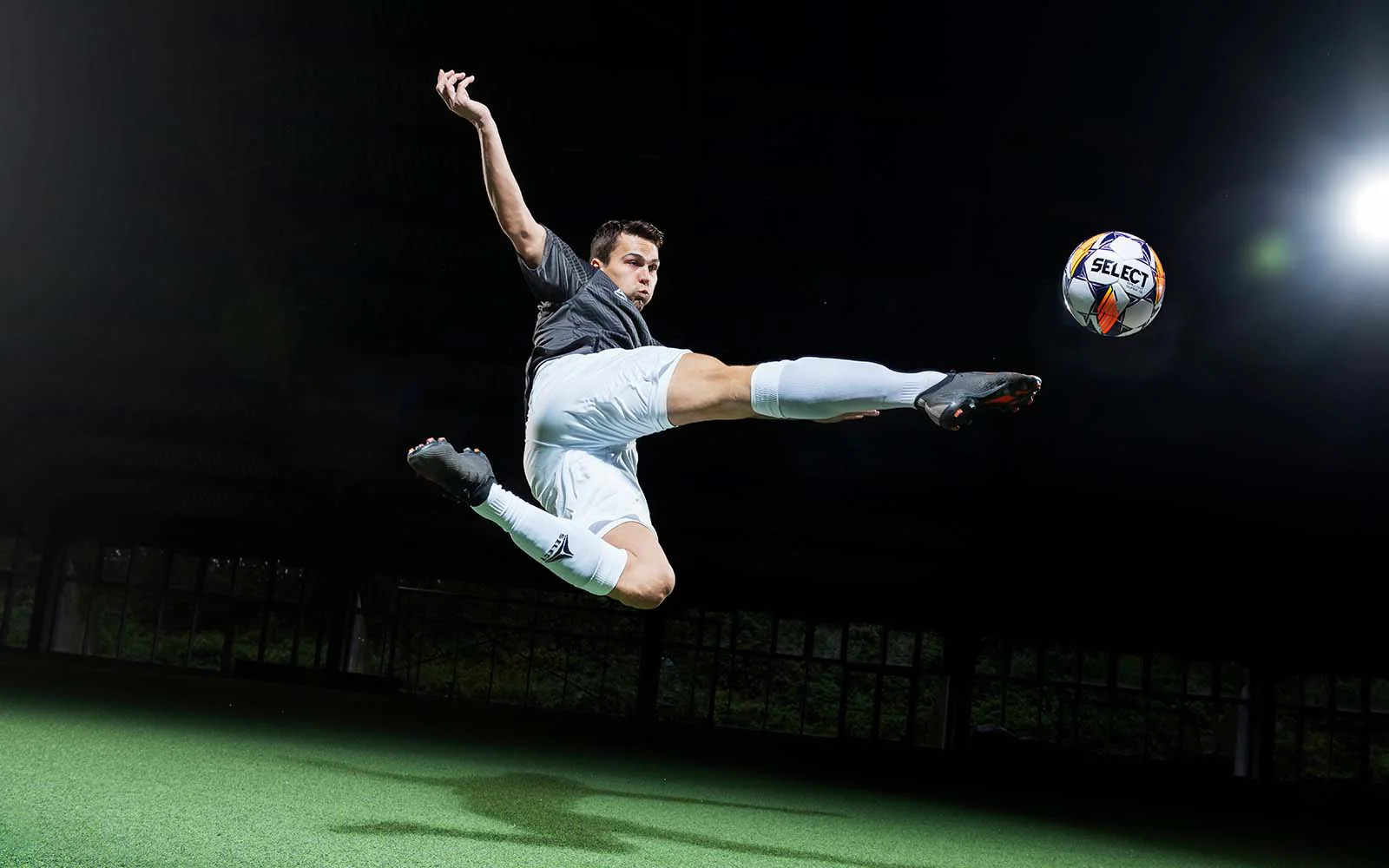 货争相亮相 货争相亮相